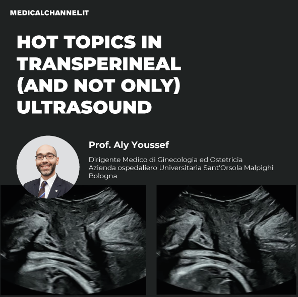 Ecografia transperineale: il nuovo corso di Aly Youssef disponibile in tre modalità formative